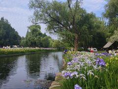 -上海共青森林公园