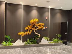 -牛鼎盛新疆雪花鲜牛火锅(武夷绿洲 店)