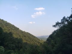 -韬光茶庵