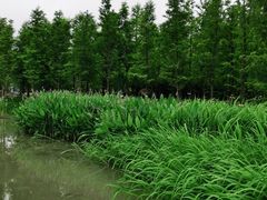 -南通濠河风景名胜区