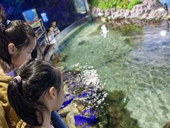 -福州罗源湾海洋世界旅游区
