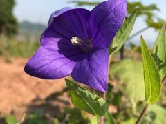 -金堂县云顶石城风景区