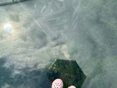 -亚龙湾热带天堂森林公园