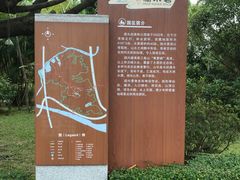 -滴水岩森林公园