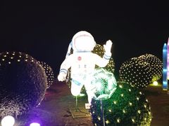 -荷兰花海
