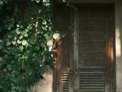 -乌村