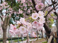 -静安雕塑公园