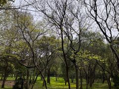 -蜀冈西峰生态公园