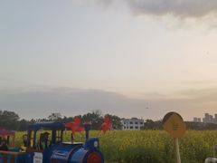 -光明小镇欢乐田园