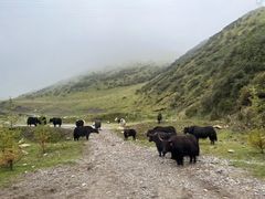 -沐泷泉(南风大剧院店)