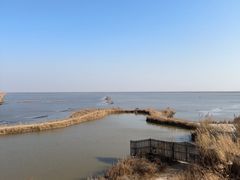 -盐城丹顶鹤湿地生态旅游区