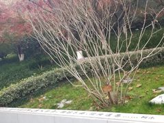-雨花台烈士纪念馆
