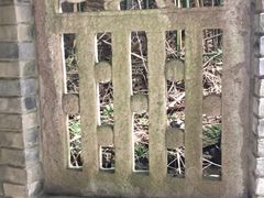 -蛇蟠岛