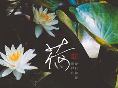 -汇龙潭