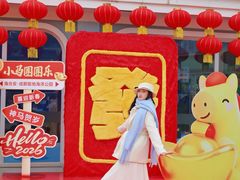 -海合安成都极地海洋公园