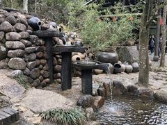 -姑婆山旅游区