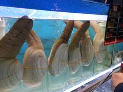 -船梆煮•蒸汽海鲜·炉火烤肉(五四广场店)