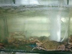 -海之鲜大排档(东山海鲜金銮湾店)