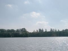 -溱湖国家湿地公园