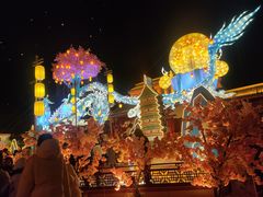 -芜湖方特东方神画