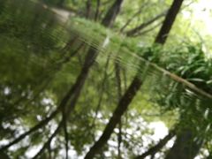-西湖风景区-江洋畈生态公园