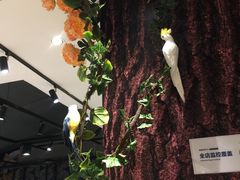 -盒马鲜生(红莲店)