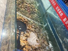 -深海聚汇·牛榴宴·自助料理(江宁万达店)