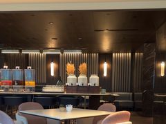 -新加坡乌节希尔顿酒店 (SG Clean)