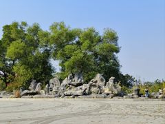 -四望岗公园