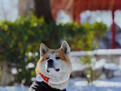-盛世南宫影视城(北普陀影视城)