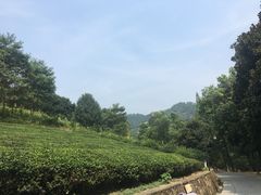 -敬亭山风景名胜区