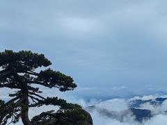 -黄山风景区