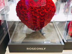 -ROSEONLY诺誓(广州K11店)