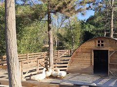 -中家鑫园温泉酒店鑫悦汤泉