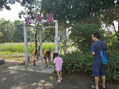 -广东花都香草世界旅游度假区