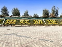 -金塔沙漠胡杨林景区