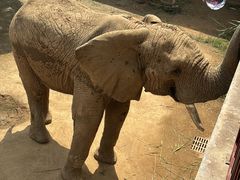 -西霞口神雕山野生动物世界