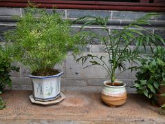 -建水文庙