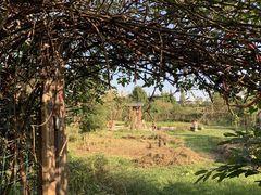 -三圣花乡旅游区