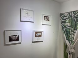 -童年时光专业儿童摄影(龙首店)