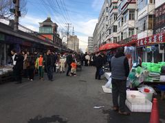 -哈尔滨道外花鸟鱼市场