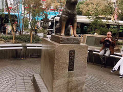 -涩谷区