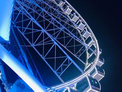 -The Dishes Seafood & Restaurant