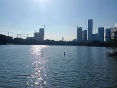 -华侨城湿地公园