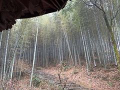-仙霞关景区