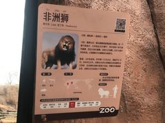 -武汉动物园
