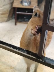 -酷嗒动物文化乐园(cutezoo西溪乐天城店)