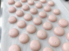 -米柚烘焙教室(新天地购物中心店)