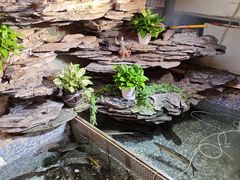 -山水茶艺馆·点心粤菜·30年老字号