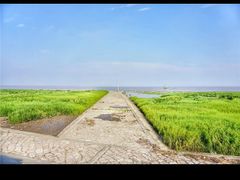 -南汇嘴观海公园